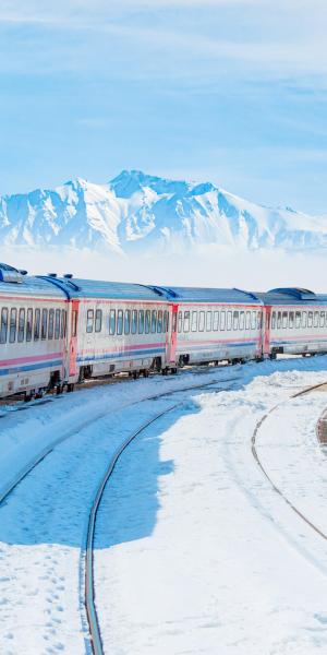Bus- und Zugrundreisen weltweit