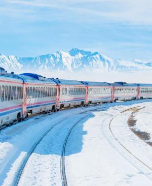 Bus- und Zugrundreisen weltweit