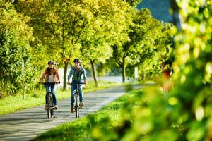 Entlang des Mosel-Radweges von Metz nach Koblenz - Radtour