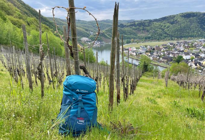 Die Höhepunkte des Moselsteigs - Wanderreise