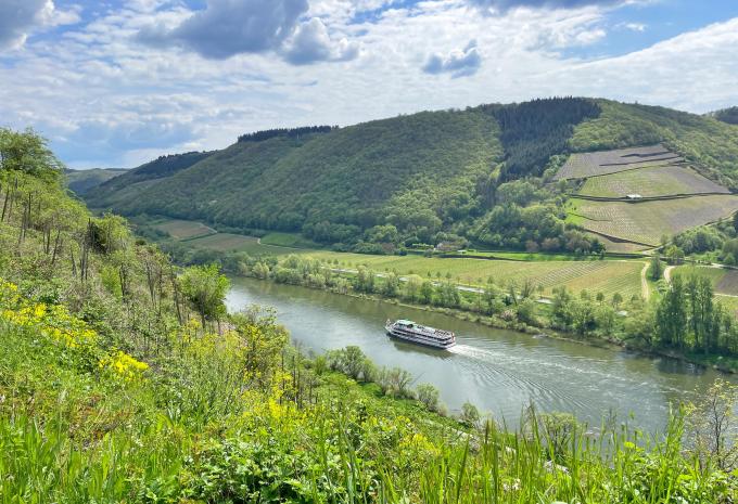 Die Höhepunkte des Moselsteigs - Wanderreise