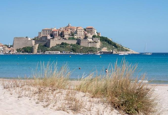 Calvi Calvi