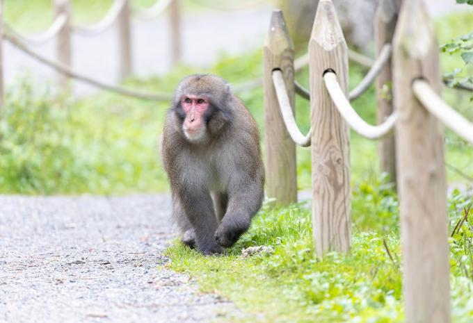 Feldkirchen in Kärnten