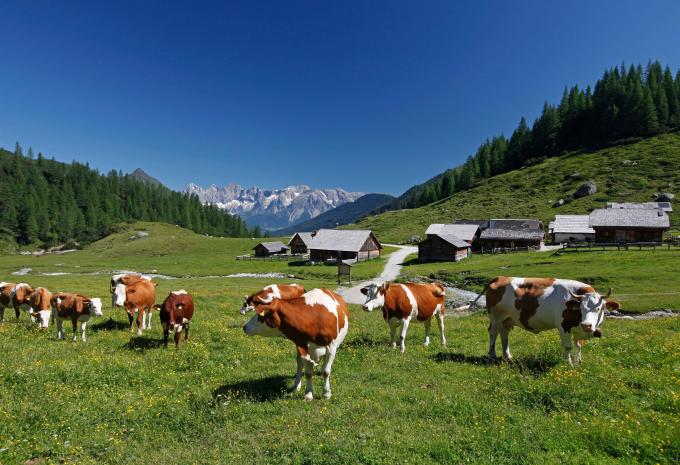 Pichl bei Schladming