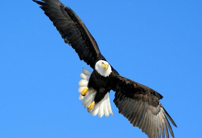 Gletscher & Vulkane: Alaska & Hawaii - Kreuzfahrt