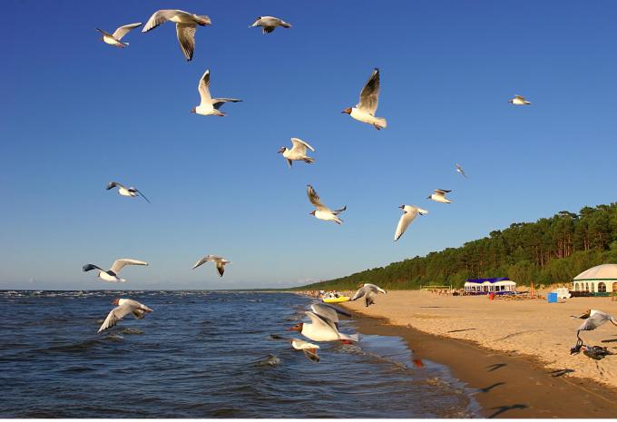 Baltikum - Rundreise