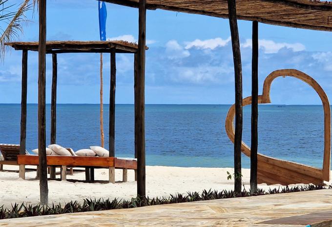 Dream of Zanzibar