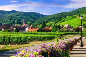 Frankreich - Elsass - Urlaub auf dem Hausboot