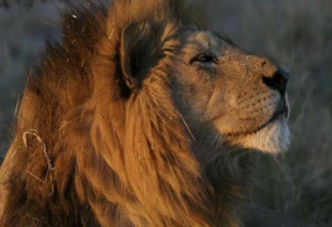 Botswana, Simbabwe & Südafrika - Abenteuer-Rundreise & Safari