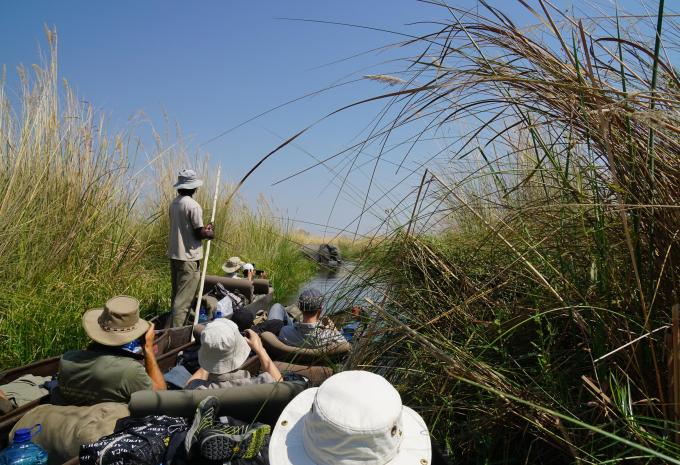Okavango Delta