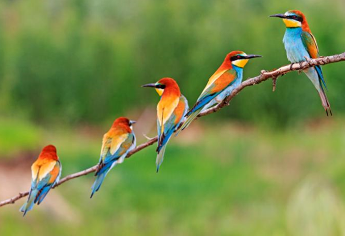 Botswana, Simbabwe & Südafrika - Abenteuer-Rundreise & Safari