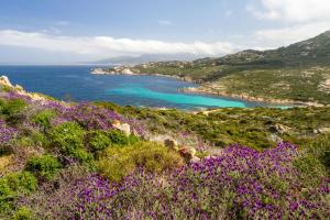 Korsika - Calvi