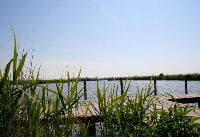 Neusiedler See