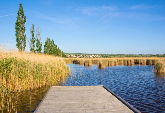 Neusiedler See