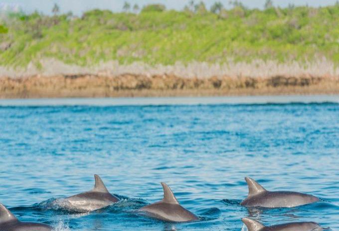 Sansibar - Safari & Baden