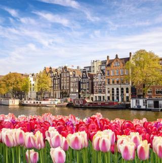 Amsterdam im Frühling | HOFER REISEN