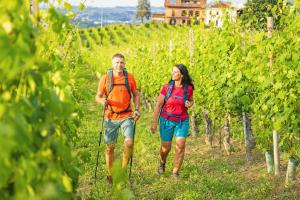 Von Verona zum Gardasee - Weinwandern im Valpolicella