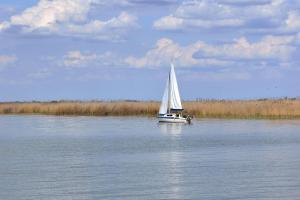 Rust am Neusiedler See