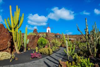 Lanzarote, Jardín de Cactus | HOFER REISEN