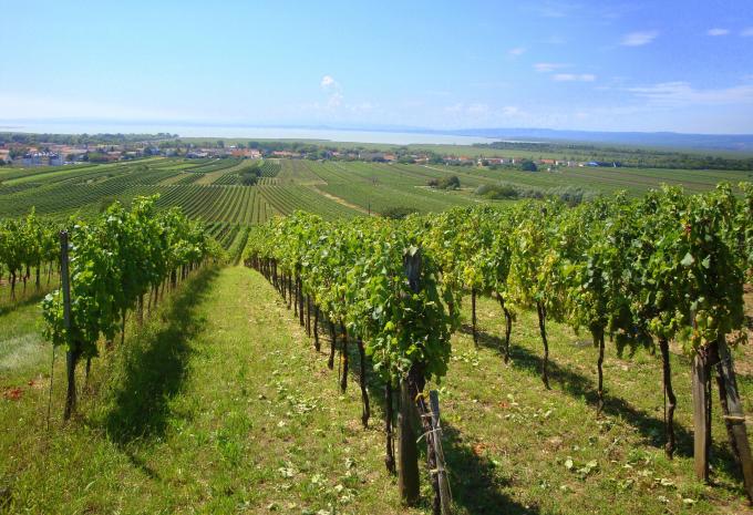 Neusiedl am See