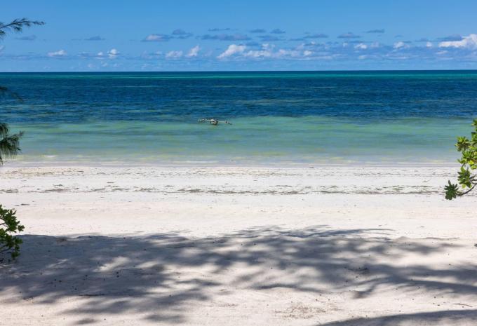 F-Zeen Boutique Hotel Zanzibar F-Zeen Boutique Hotel Zanzibar