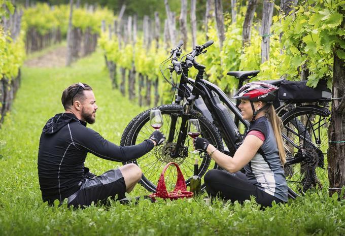 Durch Sloweniens mediterrane Weingärten - Radtour