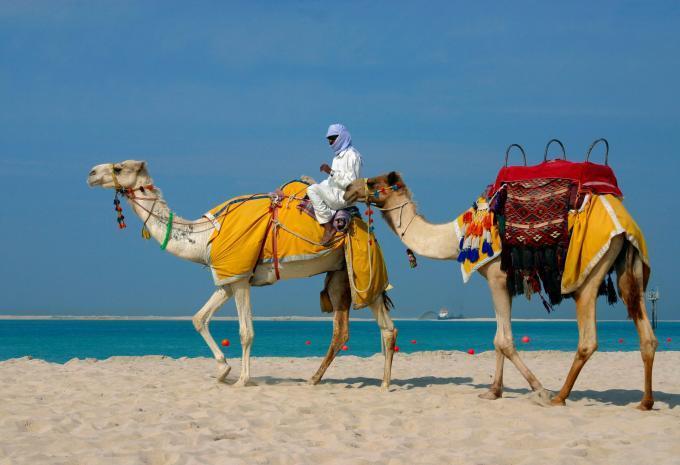 Vereinigte Arabische Emirate - Rundreise & Baden