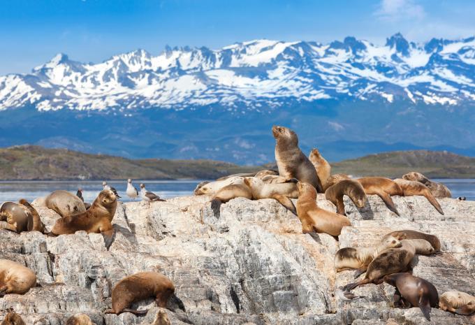 Ushuaia - Beagle Kanal