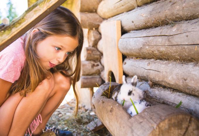 Pichl bei Schladming