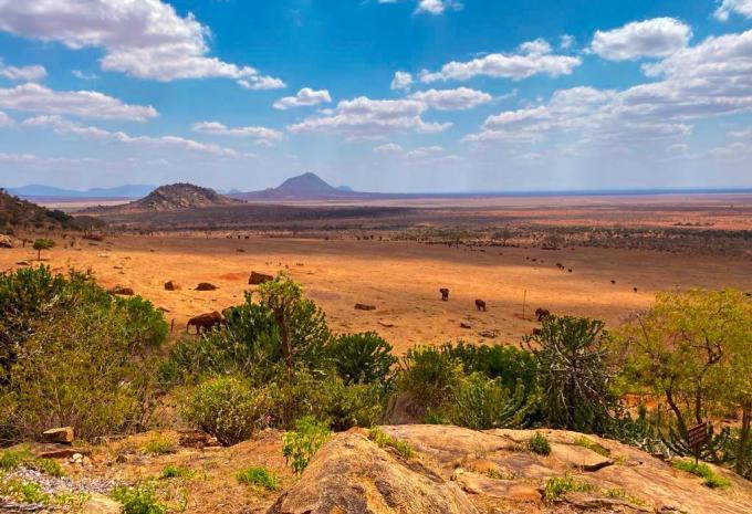 Kenia - Safari & Baden