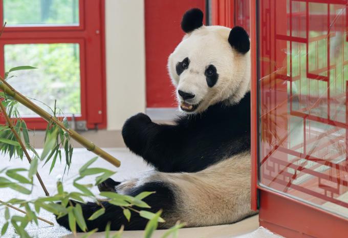 Tiergarten Schönbrunn, Wien