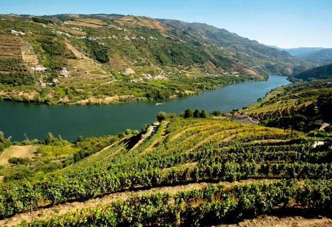 Douro-Tal Douro-Tal