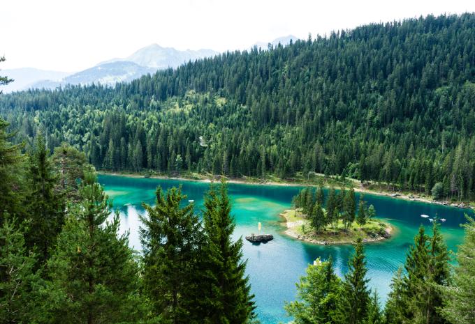 Flims