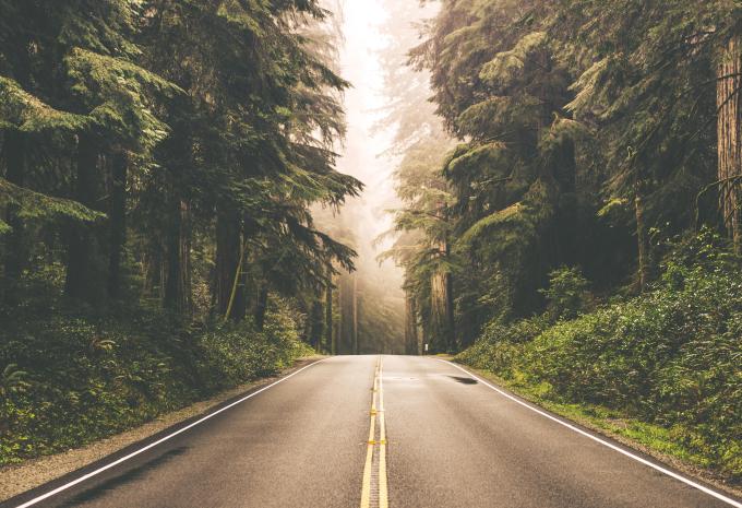 Redwood National und State Park