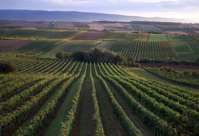 Hainburg an der Donau