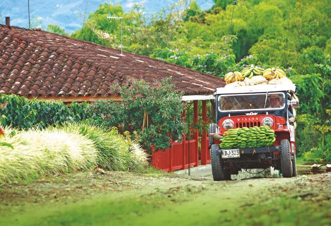 Kolumbien - Rundreise & Baden