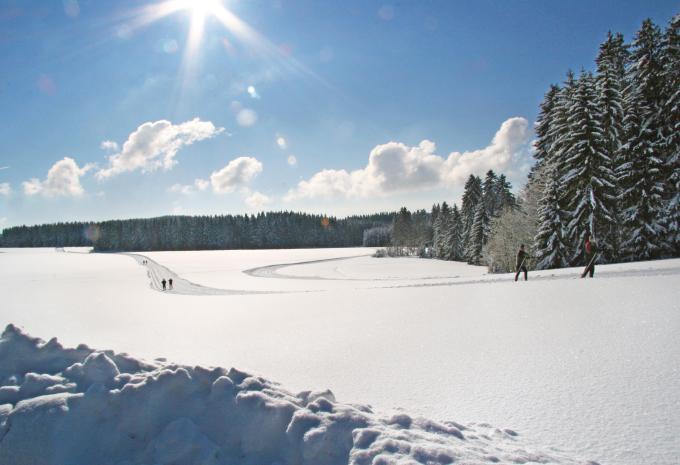 Wegscheid