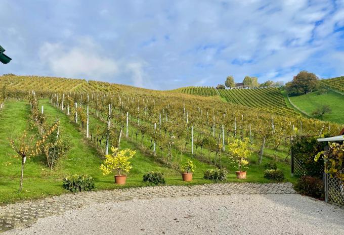 Gamlitz an der Weinstraße