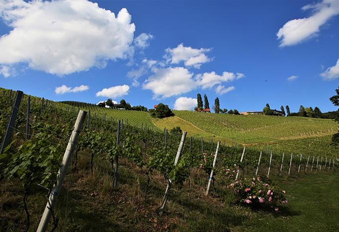 Gamlitz an der Weinstraße