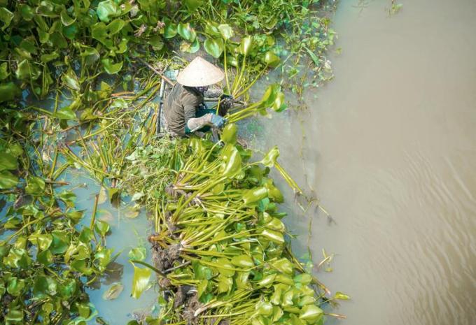 Mekong-Delta