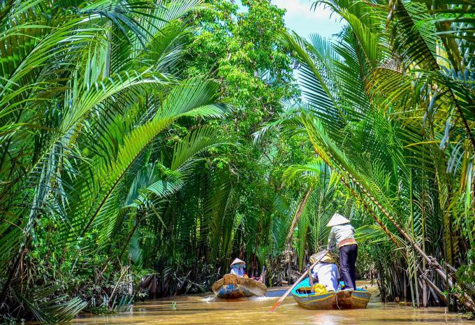 Mekong Delta