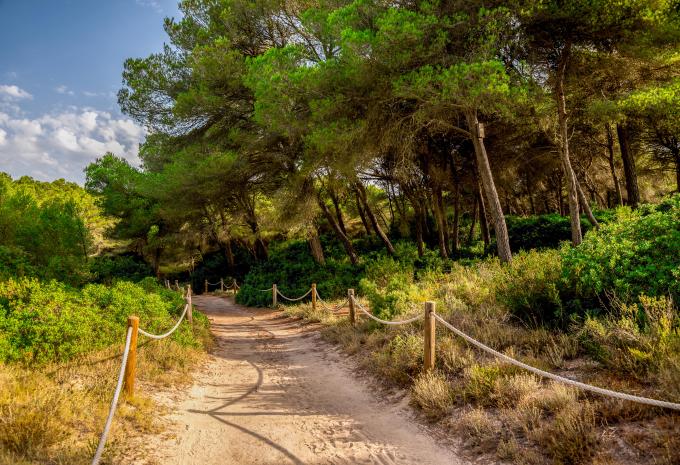 Mallorca - Wanderreise