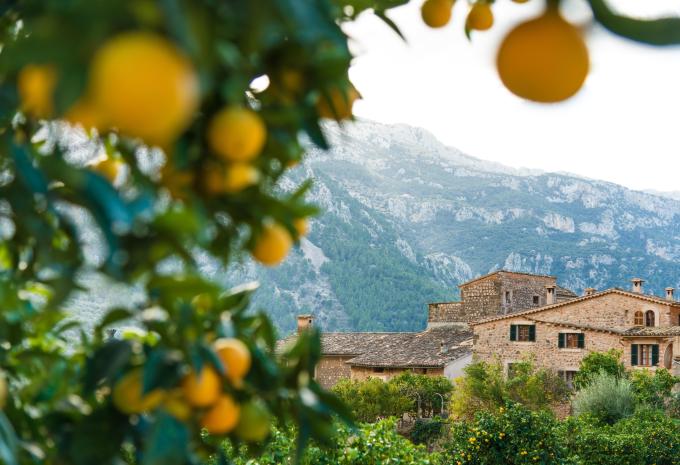 Mallorca - Wanderreise