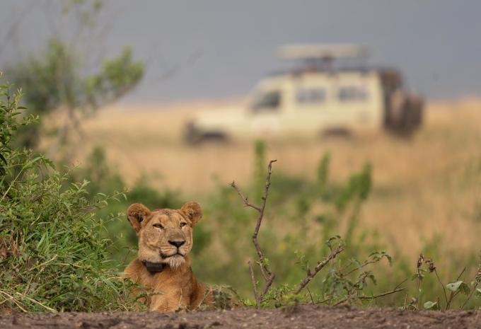 Uganda - Abenteuer-Rundreise