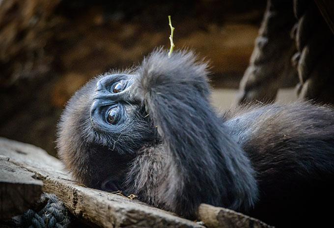 Uganda - Abenteuer-Rundreise