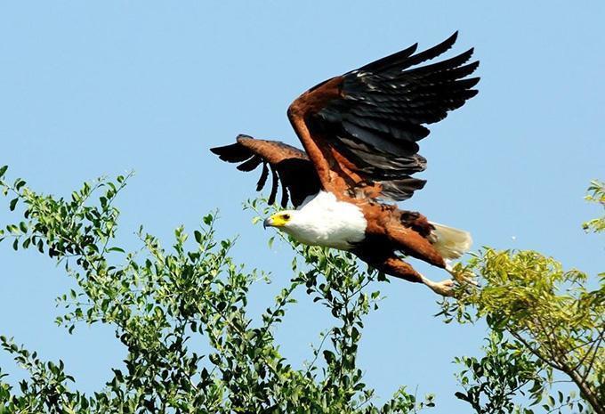 Uganda - Abenteuer-Rundreise