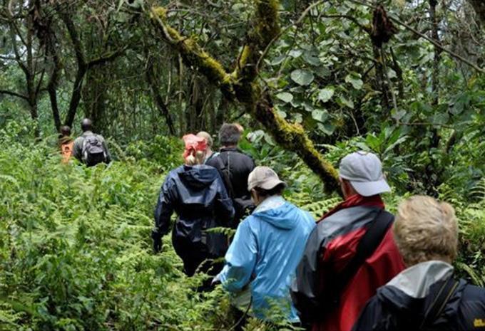 Uganda - Abenteuer-Rundreise