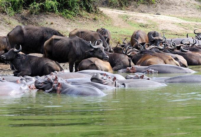 Uganda - Abenteuer-Rundreise