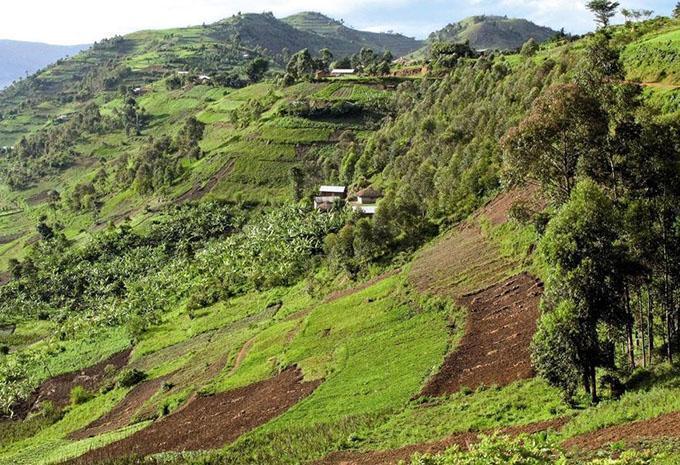 Uganda - Abenteuer-Rundreise