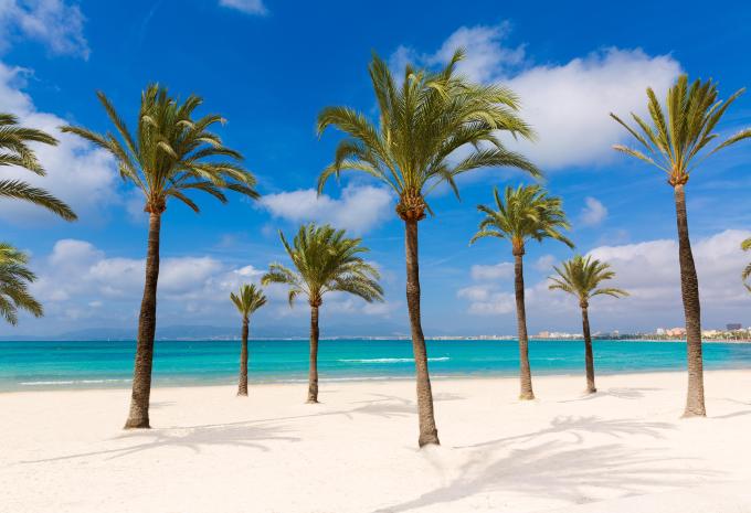 Mallorca - Sternfahrt